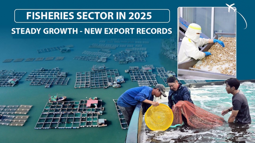 Fisheries sector secures strong growth amid challenges in 2025